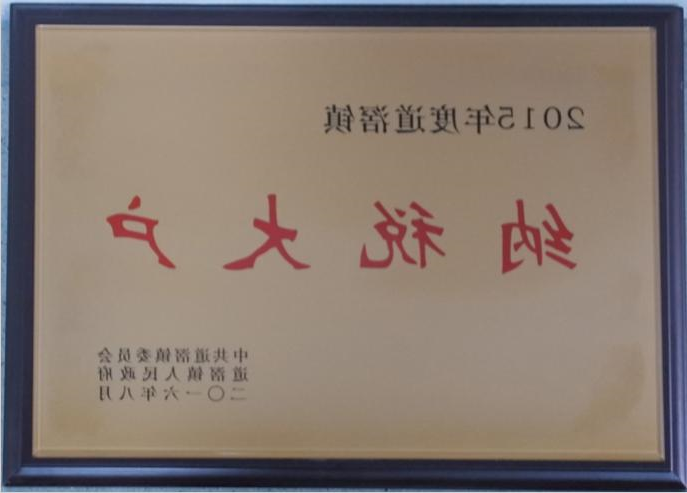 道滘镇2015年纳税大户企业