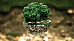 国立科技发布定增预案，布局可降解塑料黄金赛道